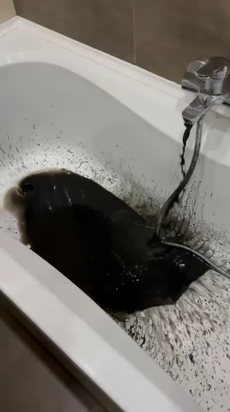 Spălarea sistemului de încălzire
